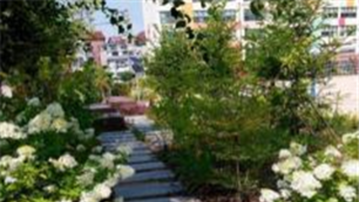 "서울시교육청, 학교에 '치유정원' 조성…학생 정서 회복 돕는다“