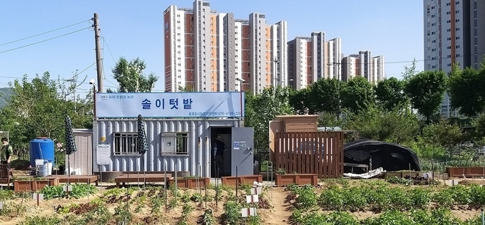 “직접 재배하고, 함께 나눈다”… 송파구 친환경 주말농장, 380명 경작자 모집