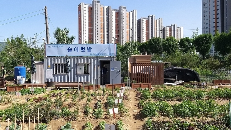 “직접 재배하고, 함께 나눈다”… 송파구 친환경 주말농장, 380명 경작자 모집