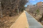 “자연 즐기며 건강 챙겨요” 인천 중구, 백운산 일원 ‘맨발 산책로’ 조성