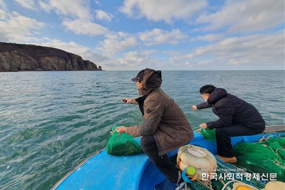 토종 홍합 ‘참담치’ 80만 마리 방류