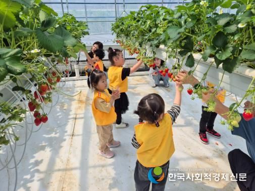 진안군, 선도농업경영체 우수모델화 사업추진(두드림 딸기 농장).