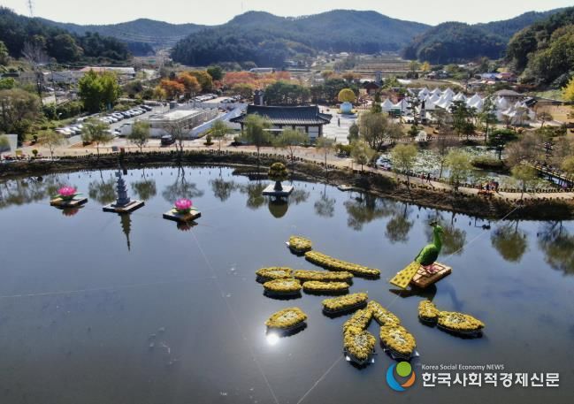 ‘2025 태안 국화축제’ 모습.
