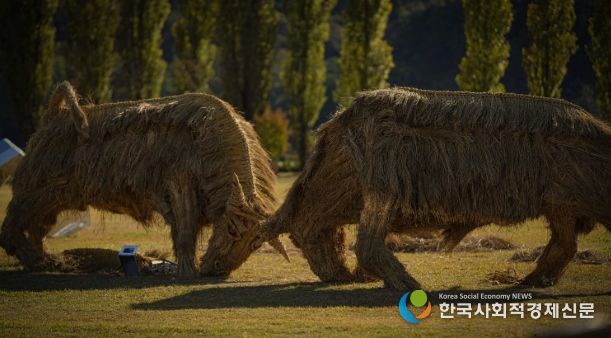 짚 황소 머리를 맞대고 싸우는 소를 짚을 활용하여 역동적으로 표현(사진제공=아름다운강천 사회적협동조합)